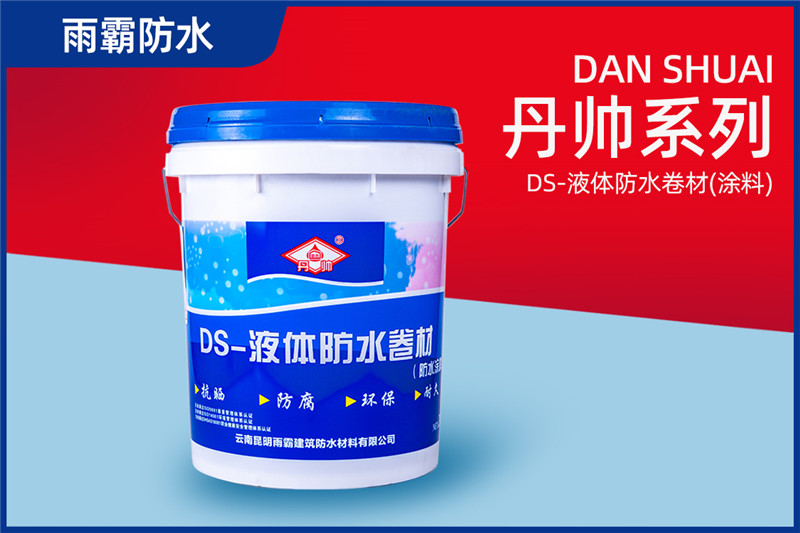 丹帥DS-液體防水卷材