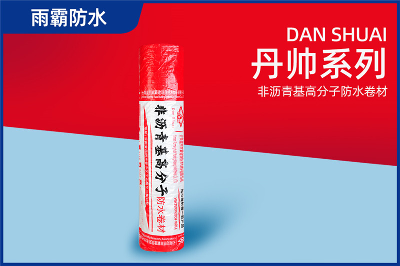 丹帥非瀝青基高分子防水卷材
